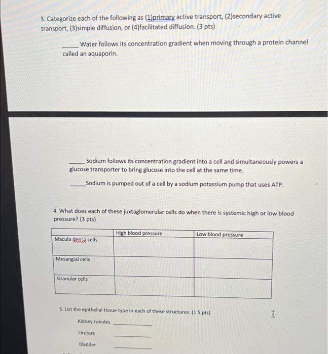 3 Categorize Each Of The Following As 1 Primary Active Transport 2 Secondary Active Transport 3 Simple Diffusion 1