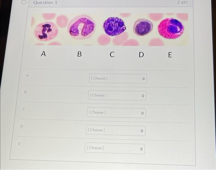 0 C D A B Question 1 A B C Choose Choose Choose Choose Choose D E O 2 Pts 1