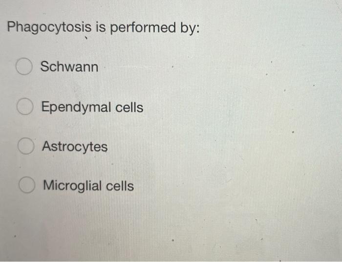 Phagocytosis Is Performed By Schwann Ependymal Cells Astrocytes Microglial Cells 1