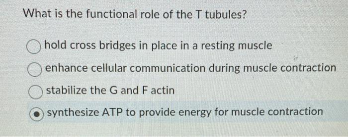 What Is The Functional Role Of The T Tubules Hold Cross Bridges In Place In A Resting Muscle Enhance Cellular Communica 1
