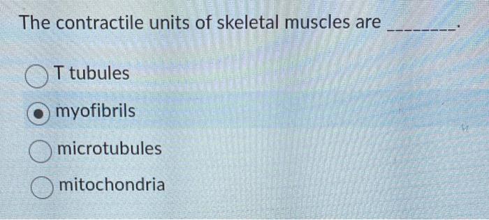 What Is The Functional Role Of The T Tubules Hold Cross Bridges In Place In A Resting Muscle Enhance Cellular Communica 2