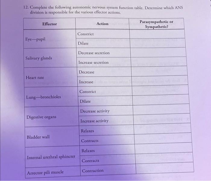 12 Complete The Following Autonomic Nervous System Function Table Determine Which Ans Division Is Responsible For The 1