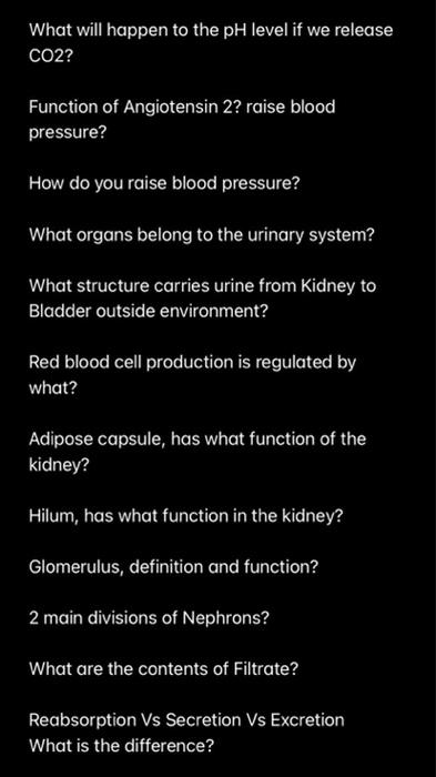 Please Help This Is My Study Guide For The Urinary System And Parts Of The Respiratory System Please Answer All The Ques 2