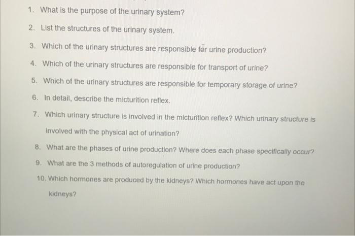 1 What Is The Purpose Of The Urinary System 2 List The Structures Of The Urinary System 3 Which Of The Urinary Stru 1