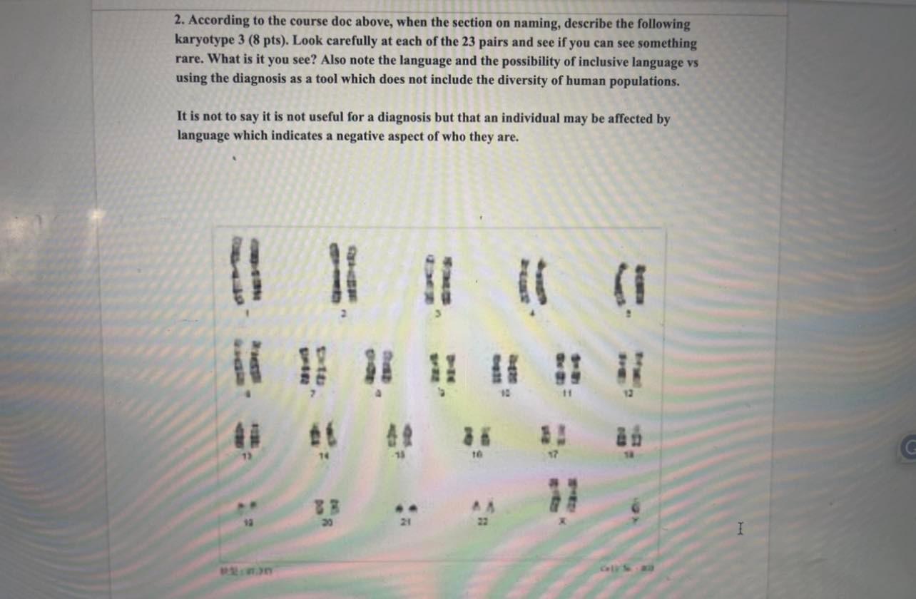 2 According To The Course Doc Above When The Section On Naming Describe The Following Karyotype 3 8 Pts Look Caref 1