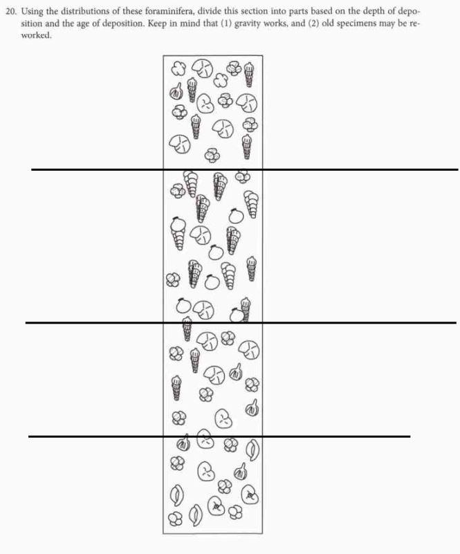 For This Exercise The Data Comes From Cores Of Marine Sedimentary Rocks From An Oligocene Miocene Sequence A Total Of T 2