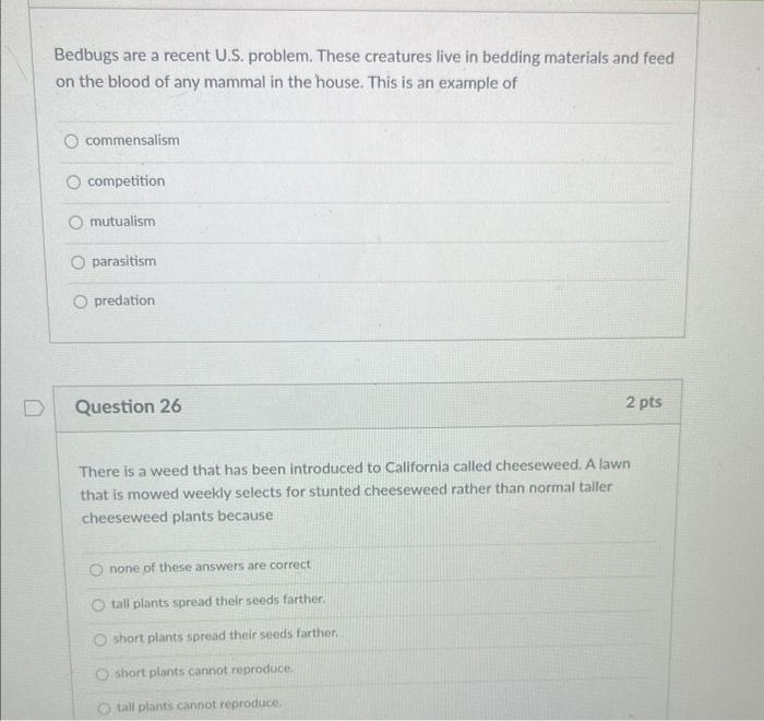 Bedbugs Are A Recent U S Problem These Creatures Live In Bedding Materials And Feed On The Blood Of Any Mammal In The 1