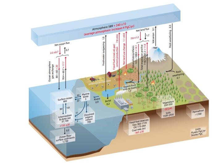Net Ocean Flux 2 3 10 7 Ocean Atmosphere Gas Exchange 02 09 09 78 4 60 7 17 7 Surface Ocean 900 10 06 Intermediate D 1
