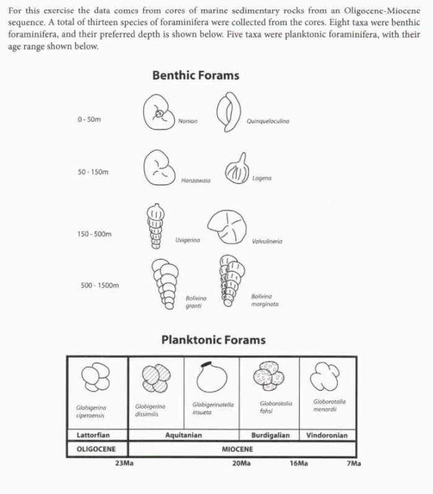 For This Exercise The Data Comes From Cores Of Marine Sedimentary Rocks From An Oligocene Miocene Sequence A Total Of T 1