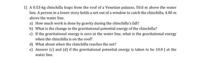 1 A 0 53 Kg Chinchilla Leaps From The Roof Of A Venetian Palazzo 50 0 M Above The Water Line A Person In A Lower Stor 1