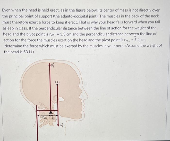 Even When The Head Is Held Erect As In The Figure Below Its Center Of Mass Is Not Directly Over The Principal Point Of 1