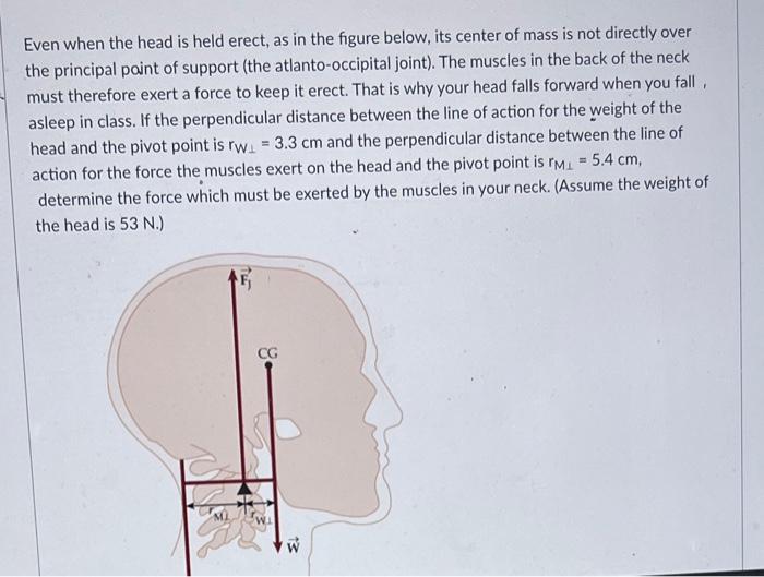 Even When The Head Is Held Erect As In The Figure Below Its Center Of Mass Is Not Directly Over The Principal Point Of 1
