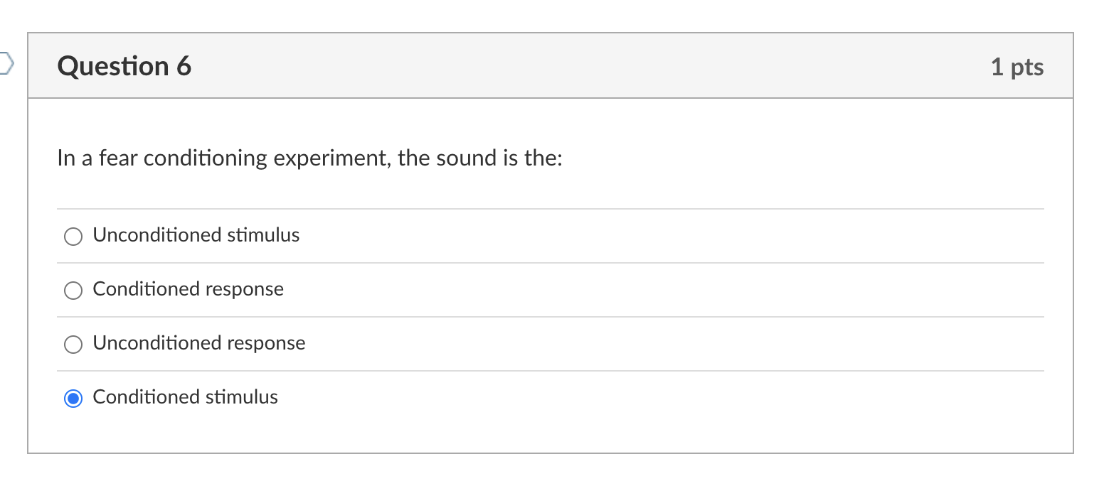Question 6 In A Fear Conditioning Experiment The Sound Is The Unconditioned Stimulus Conditioned Response Unconditio 1