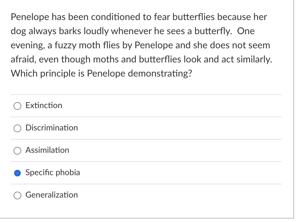 Penelope Has Been Conditioned To Fear Butterflies Because Her Dog Always Barks Loudly Whenever He Sees A Butterfly One 1