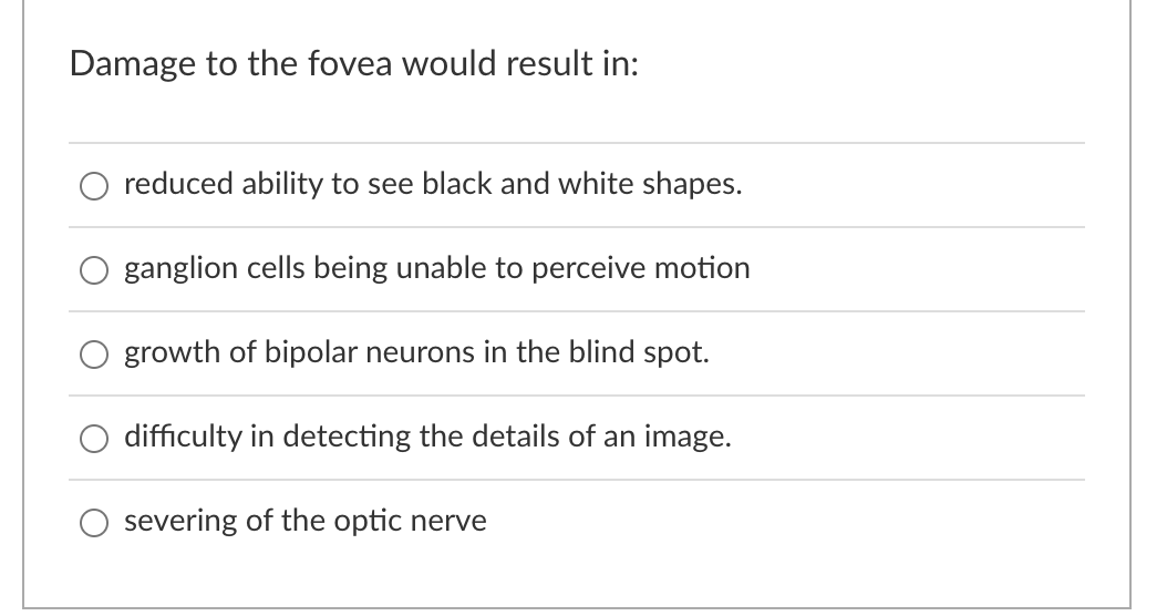 Damage To The Fovea Would Result In Reduced Ability To See Black And White Shapes Ganglion Cells Being Unable To Perce 1