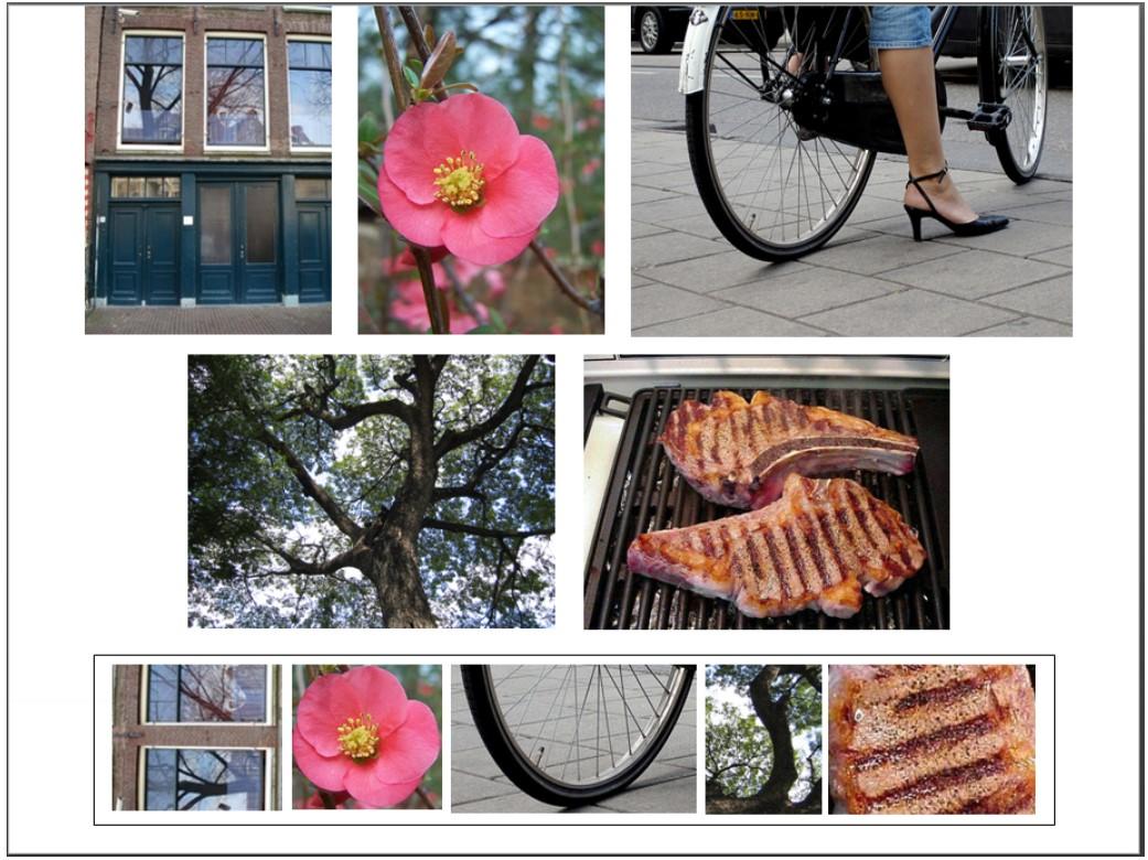 Two Sets Of 5 Photographs Are Presented In Separate Slides Below The Challenge Is To View Them As Arrangements Of Color 1