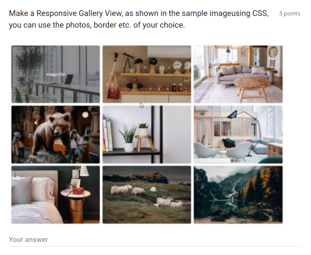 Make A Responsive Gallery View As Shown In The Sample Imageusing Css 5 Points You Can Use The Photos Border Etc Of Y 1