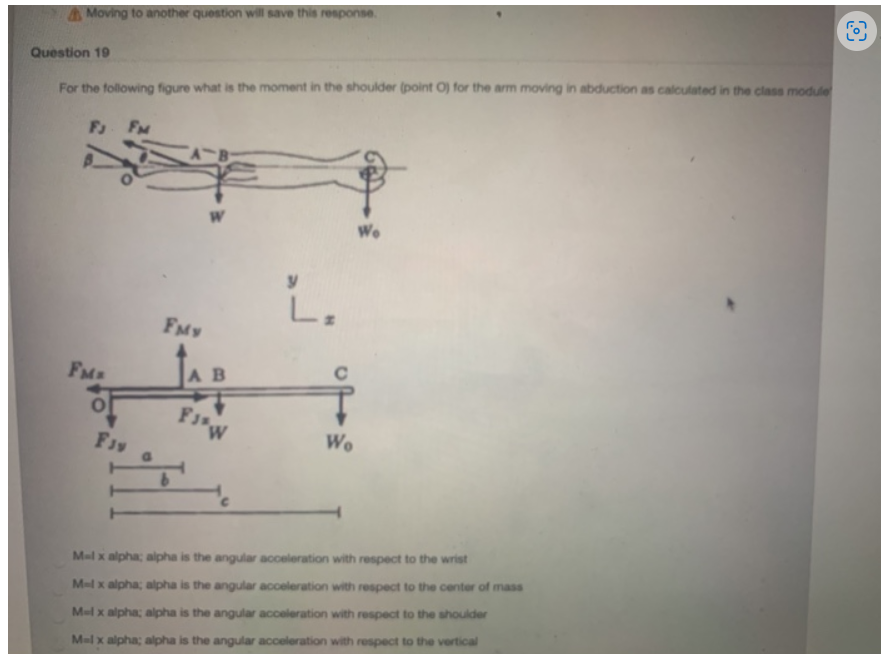 For The Following Figure What Is The Moment In The Shoulder Point0 For The Arm Moving In Adbuction As Calculated In The 1