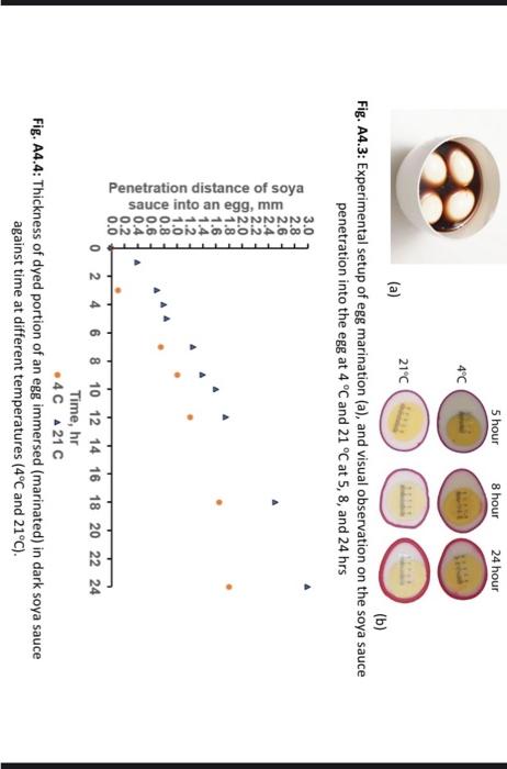 Phenomena In Food Preparation Provide Comprehensible Examples Of Diffusion Traditional Cooking Methods Known As Simmeri 3