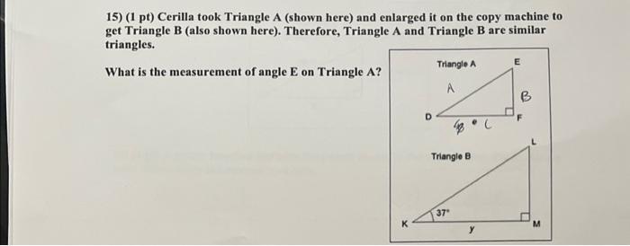 11 1 Pt What Type Of Function Could Include All Of The Following Points 15 1 Pt Cerilla Took Triangle A Shown He 2