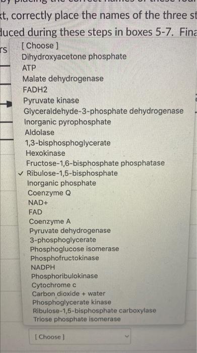 In The Calvin Cycle Ribulose 5 Phosphate Is Converted Into Two Molecules Of Glyceraldehyde 3 Phosphate Through The Actio 2