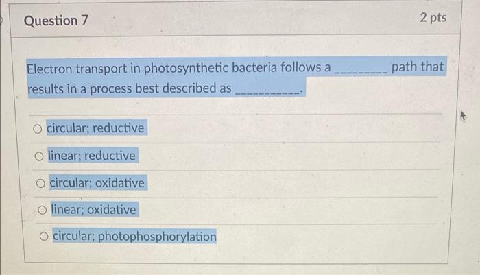 Question 7 2 Pts Path That Electron Transport In Photosynthetic Bacteria Follows A Results In A Process Best Described A 1