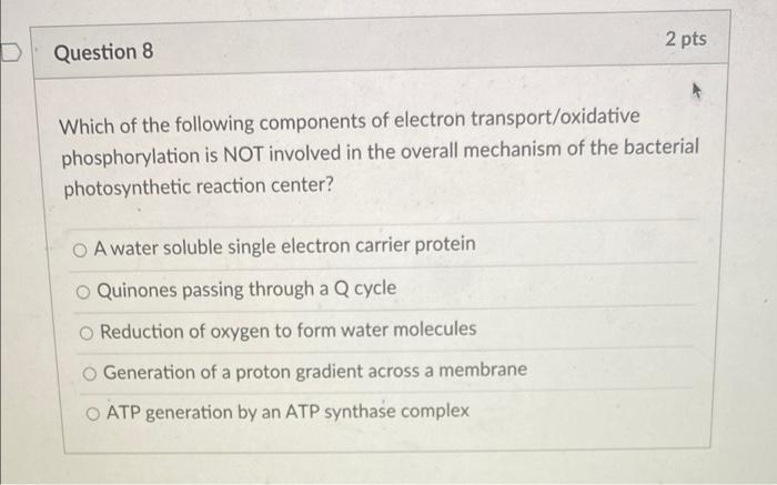 2 Pts D Question 8 Which Of The Following Components Of Electron Transport Oxidative Phosphorylation Is Not Involved In 1