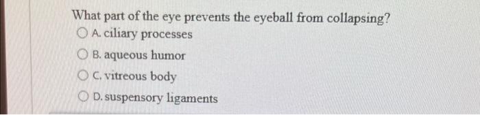 Nerve All Of The Following Are Mixed Cranial Nerves Except The O A Olfactory O B Abducens C Trigeminal O D Facial 4
