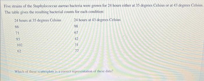 Five Strains Of The Staphylococcus Aureus Bacteria Were Grown For 24 Hours Either At 35 Degrees Celsius Or At 43 Degrees 1