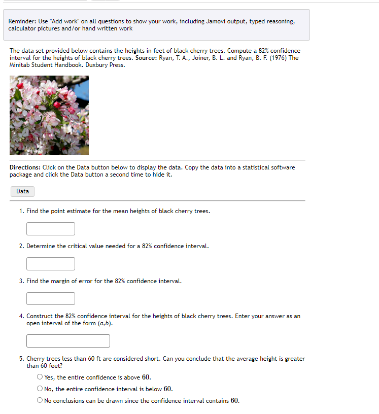 Reminder Use Add Work On All Questions To Show Your Work Including Jamovi Output Typed Reasoning Calculator Pictur 1