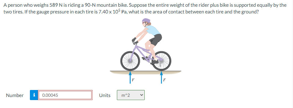 A Person Who Weighs 589 N Is Riding A 90 N Mountain Bike Suppose The Entire Weight Of The Rider Plus Bike Is Supported 1
