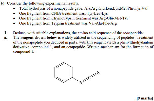 B Consider The Following Experimental Results Total Hydrolysis Of A Nonapeptide Gave Ala Arg Glu Leu Lys Met Phe Ty 1