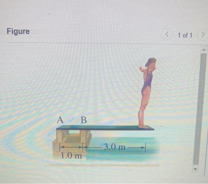 Figure 1 Of 1 What Is The Mass Of The Diver In Eigure 1 If She Exerts A Torque Of 2800 N M On The Board Relative To T 1