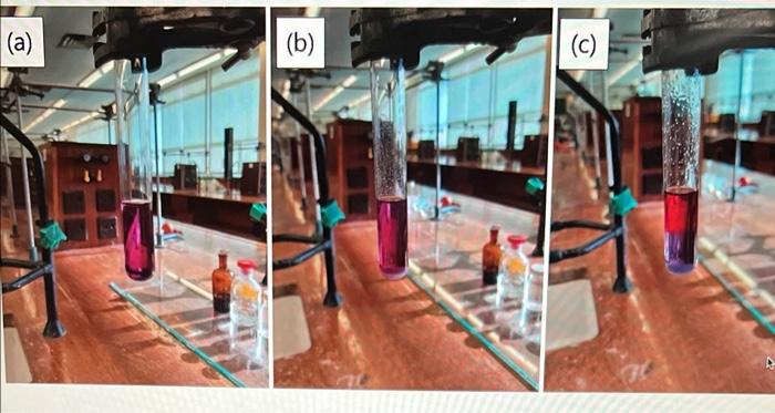 I Ve Been Having Fun In The Lab Some Purple Food Colouring Was Added To A Test Tube Containing An Aqueous Solution Of I 2