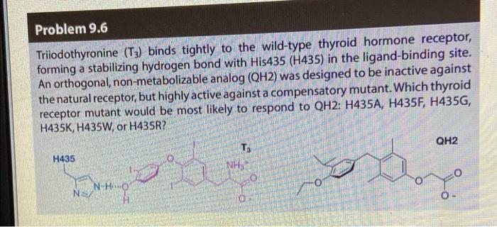 Problem 9 6 Triiodothyronine T3 Binds Tightly To The Wild Type Thyroid Hormone Receptor Forming A Stabilizing Hydroge 1