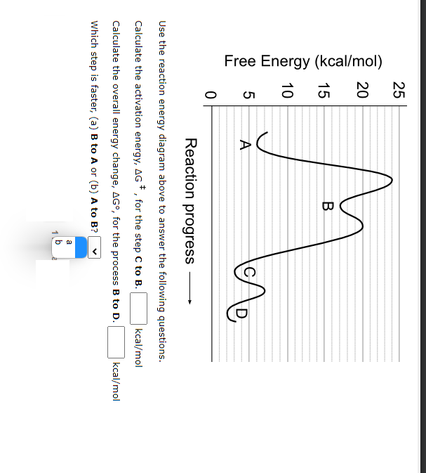 Free Energy Kcal Mol 1