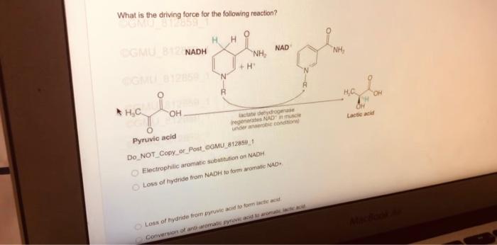 Which Is Expected To Be The Most Stable Do Not Copy Or Post Gmu 812859 1 The Following Compound The Following Compoun 9