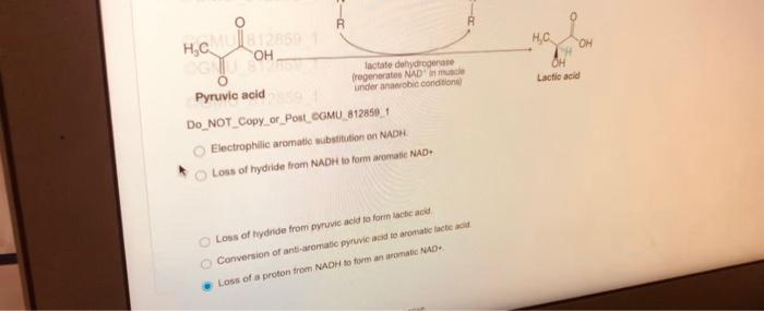 Which Is Expected To Be The Most Stable Do Not Copy Or Post Gmu 812859 1 The Following Compound The Following Compoun 10
