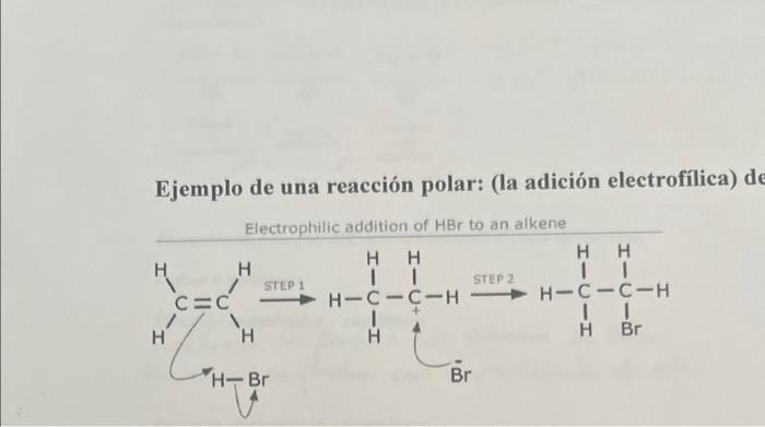 Ejemplo De Una Reaccion Polar La Adicion Electrofilica D Electrophilic Addition Of Hbr To An Alkene 1