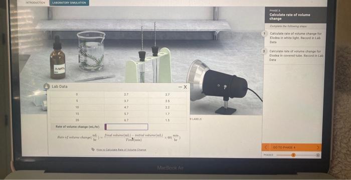 Bata Phase 3 Calculate Rate Of Volume Change Complete The Following Steps 1 Calculate Rate Of Volume Change For Elodea 1