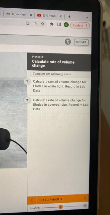 Bata Phase 3 Calculate Rate Of Volume Change Complete The Following Steps 1 Calculate Rate Of Volume Change For Elodea 3