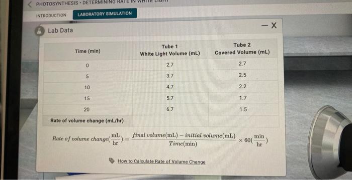Bata Phase 3 Calculate Rate Of Volume Change Complete The Following Steps 1 Calculate Rate Of Volume Change For Elodea 4