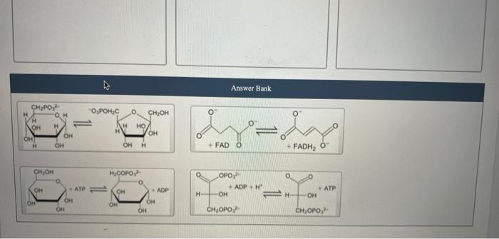 Classify Each Metabolic Reaction As An Oxidation Reduction Reaction Isomerization Reaction Or Group Transfer Reaction 2