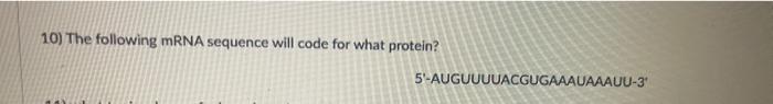 10 The Following Mrna Sequence Will Code For What Protein 1