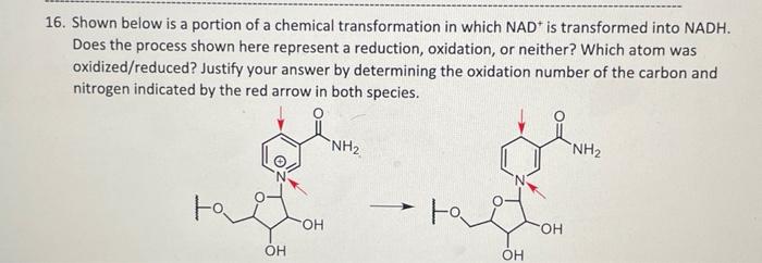 16 Shown Below Is A Portion Of A Chemical Transformation In Which Nad Is Transformed Into Nadh Does The Process Shown 1