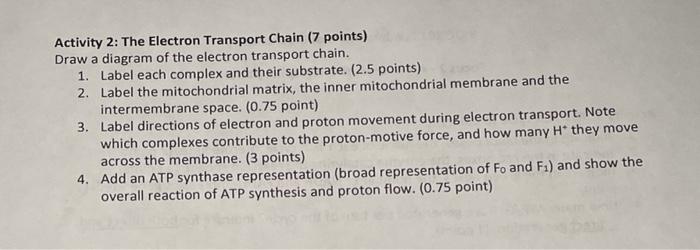 Activity 2 The Electron Transport Chain 7 Points Draw A Diagram Of The Electron Transport Chain 1 Label Each Comple 1