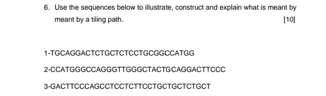 6 Use The Sequences Below To Illustrate Construct And Explain What Is Meant By Meant By A Tiling Path 10 1 Tgcaggac 1