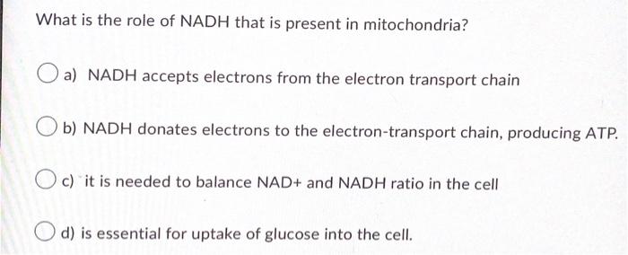 The Activity Of The Major Regulatory Enzyme Of Glycolysis Phospho Fructokinase Is Activated If Adp In The Cell Is High 2