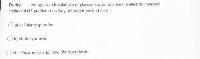 Some Signaling Molecules Take More Time To Bring About Their Effects On The Cell As Compared To Others Because A Th 3