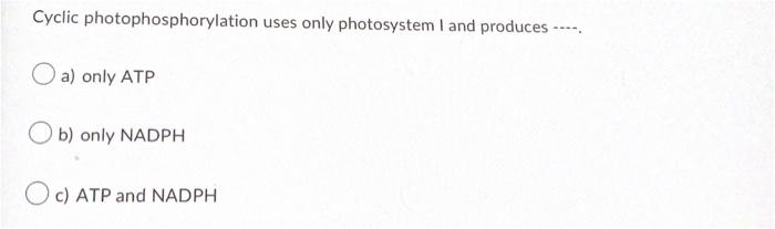 Cyclic Photophosphorylation Uses Only Photosystem I And Produces A Only Atp B Only Nadph C Atp And Nadph Ras Prote 1